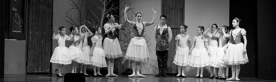 Accademia_1 image Accademia_1.jpg